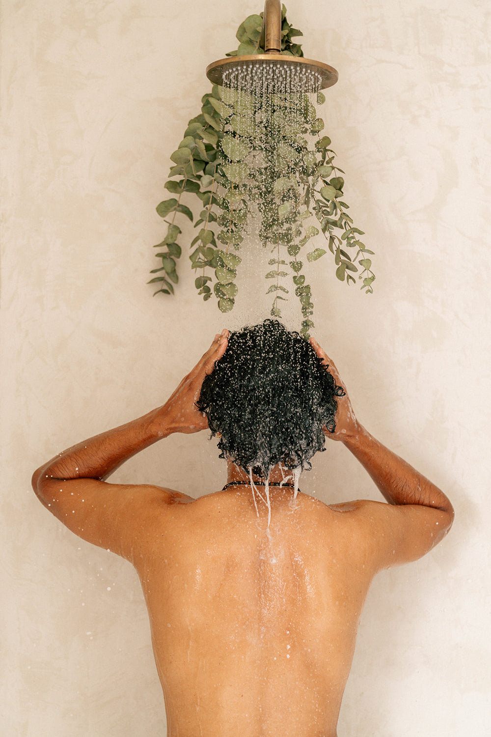 Shampoo