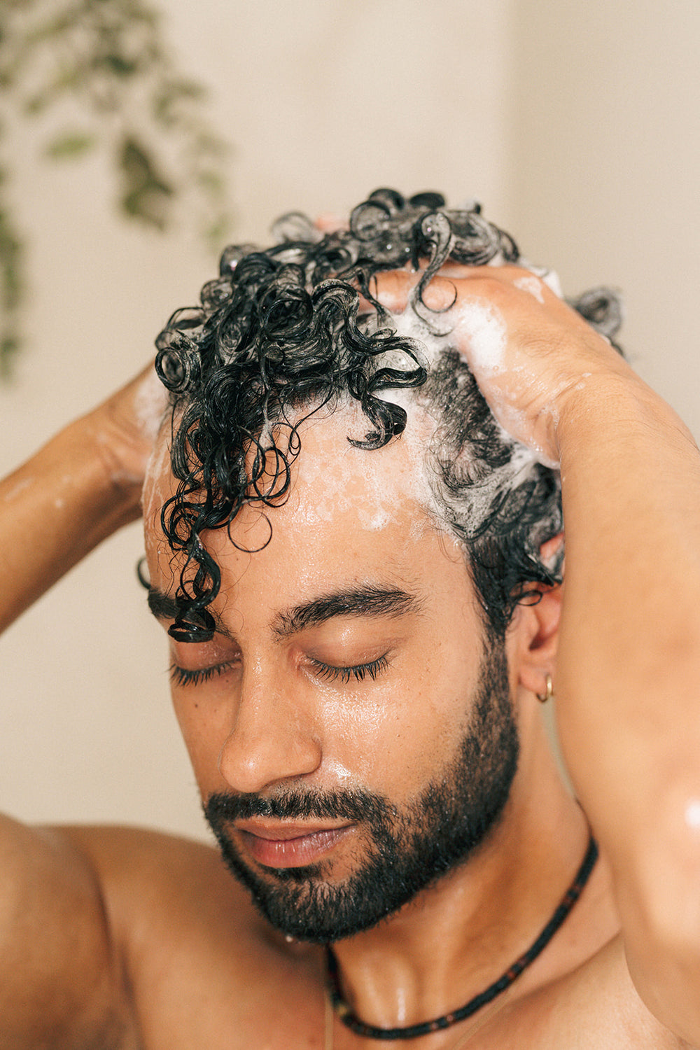 Shampoo