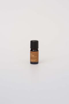 Synergie Dry Scalp